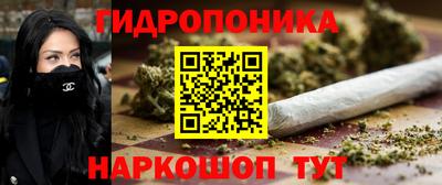 шишки Камышлов