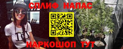мдпв Кандалакша