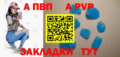 шишки Камышлов