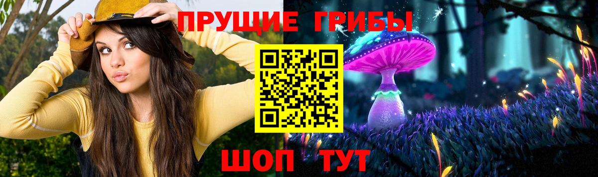 Галлюциногенные грибы Cubensis Ливны